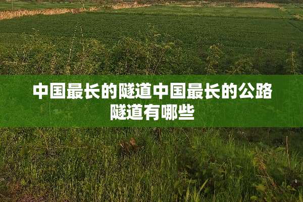 中国最长的隧道中国最长的公路隧道有哪些