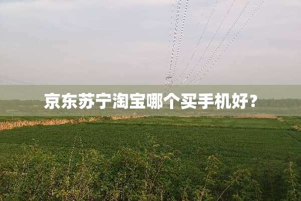 京东苏宁淘宝哪个买手机好？