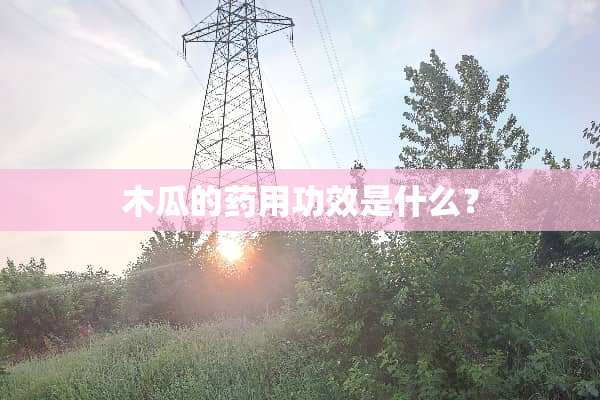 木瓜的药用功效是什么？