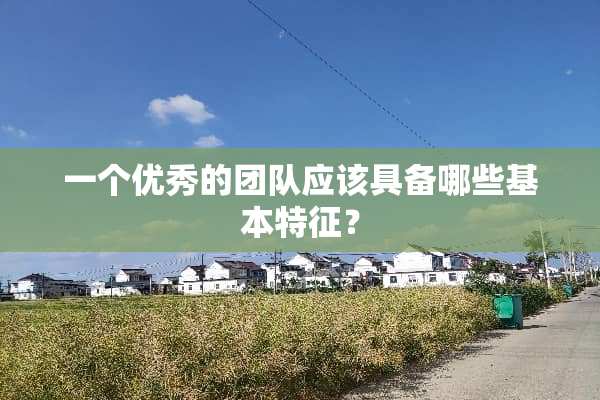 一个优秀的团队应该具备哪些基本特征？