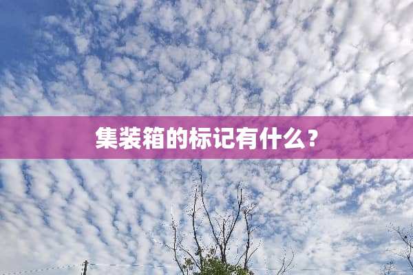 集装箱的标记有什么？