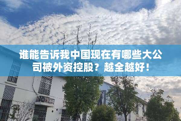 谁能告诉我中国现在有哪些大公司被外资控股？越全越好！