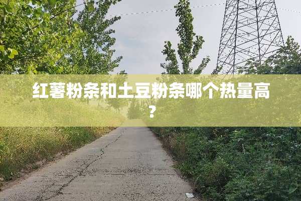 红薯粉条和土豆粉条哪个热量高？