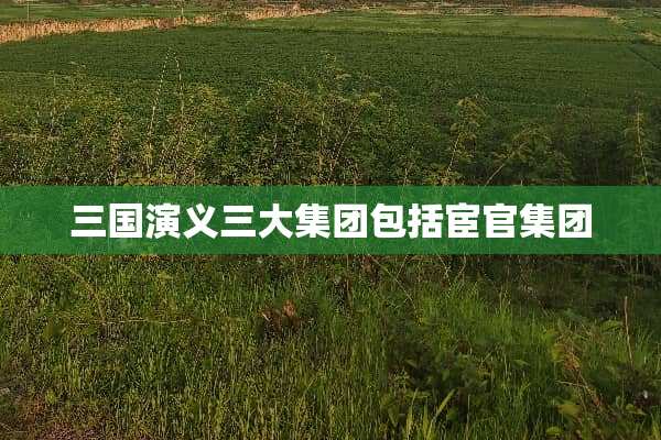 三国演义三大集团包括宦官集团