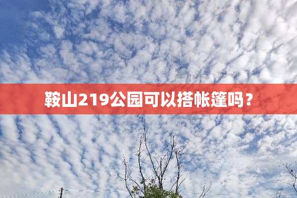 鞍山219公园可以搭帐篷吗？