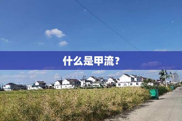 什么是甲流？