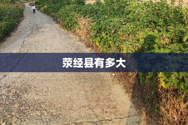 荥经县有多大