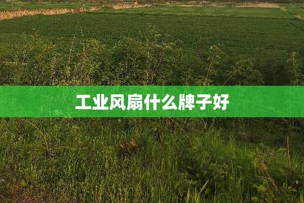 工业风扇什么牌子好