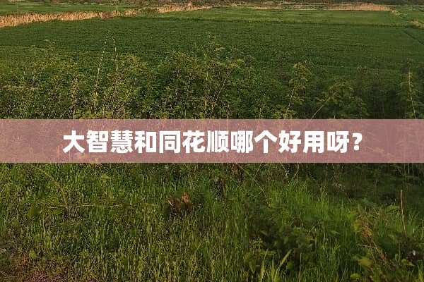 大智慧和同花顺哪个好用呀？
