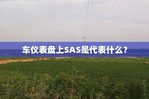 车仪表盘上SAS是代表什么？