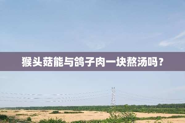 猴头菇能与鸽子肉一块熬汤吗？