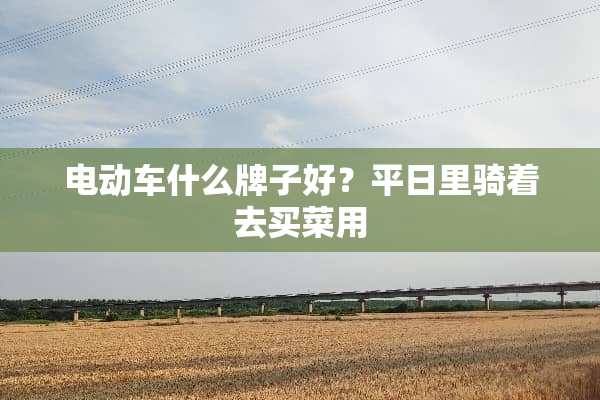 电动车什么牌子好？平日里骑着去买菜用