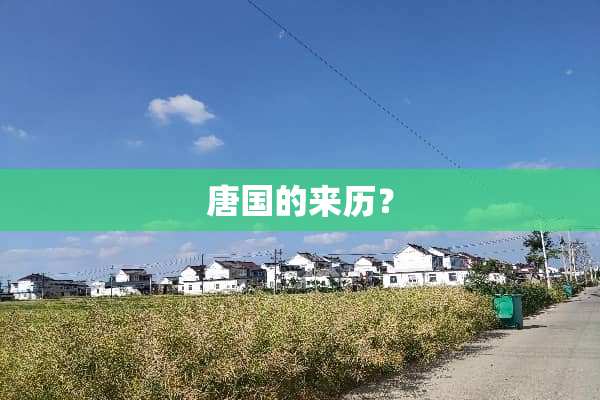 唐国的来历？