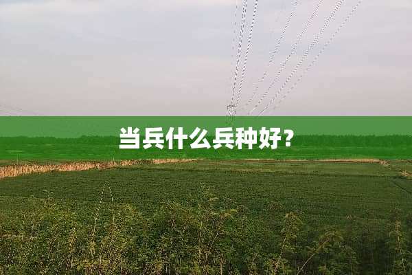 当兵什么兵种好？