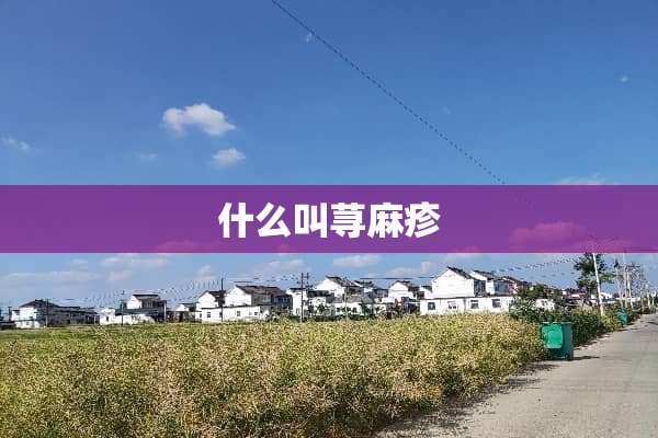 什么叫***