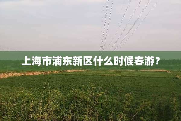 上海市浦东新区什么时候春游？