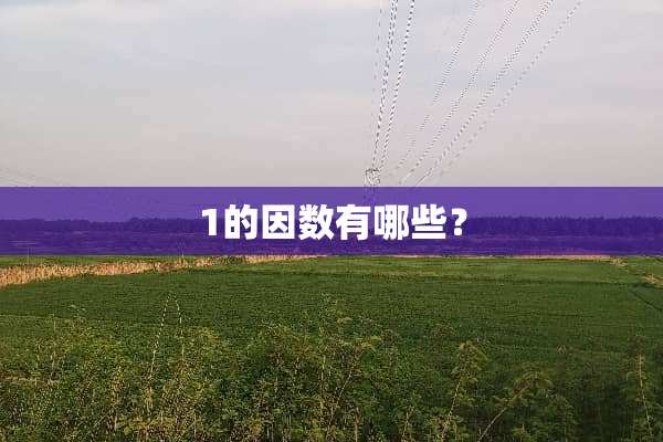 1的因数有哪些？