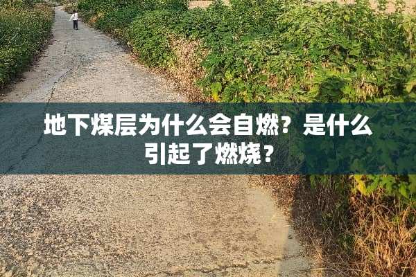 **煤层为什么会自燃？是什么引起了燃烧？