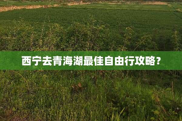 西宁去青海湖最佳自由行攻略？