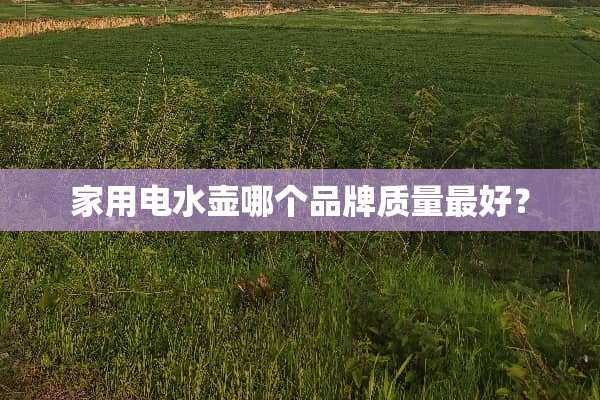 家用电水壶哪个品牌质量最好？