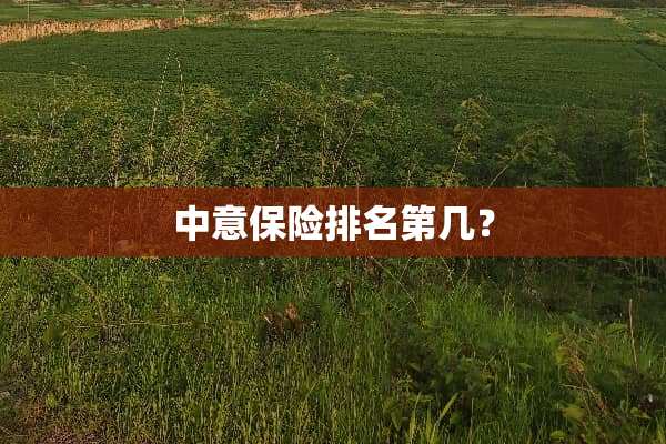 中意保险排名第几？