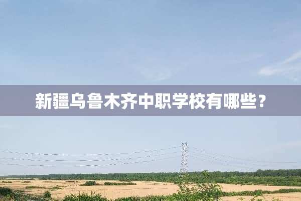 新疆乌鲁木齐中职学校有哪些？