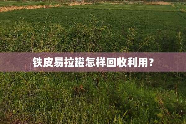 铁皮易拉罐怎样回收利用？