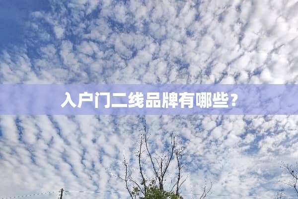 入户门二线品牌有哪些？