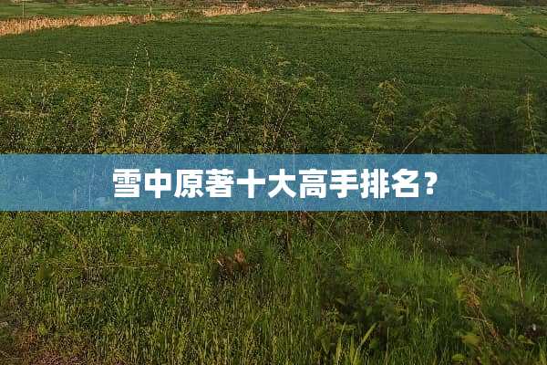 雪中原著十大高手排名？
