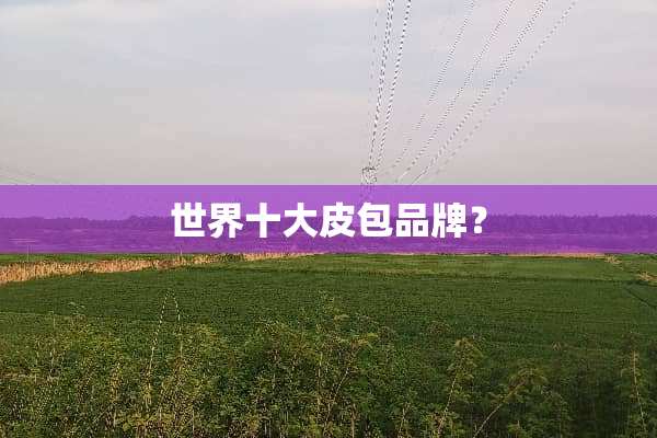 世界十大皮包品牌？