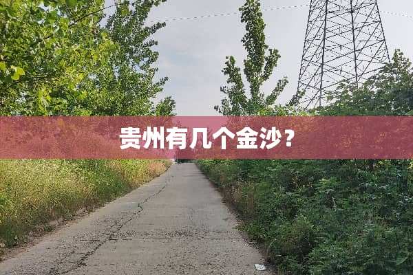 贵州有几个金沙？