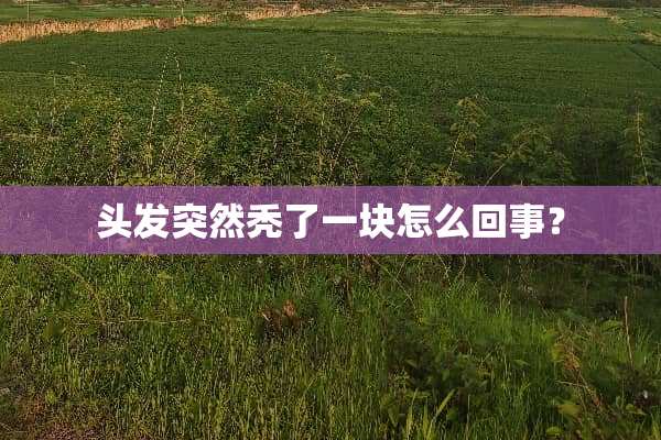 头发突然秃了一块怎么回事？
