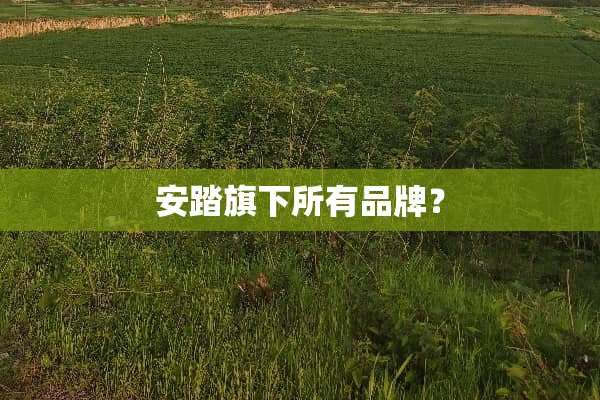 安踏旗下所有品牌？