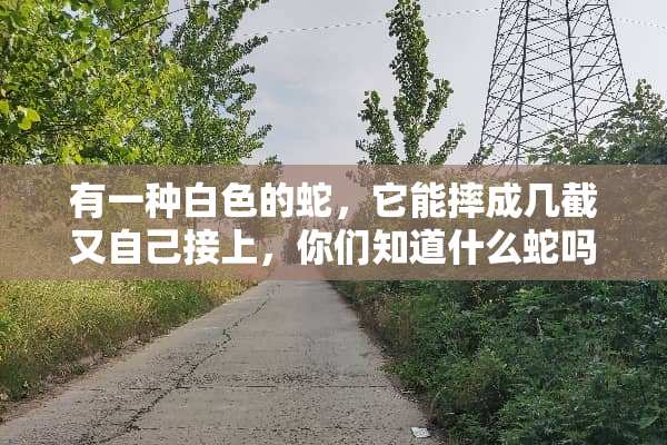 有一种白色的蛇，它能摔成几截又自己接上，你们知道什么蛇吗？