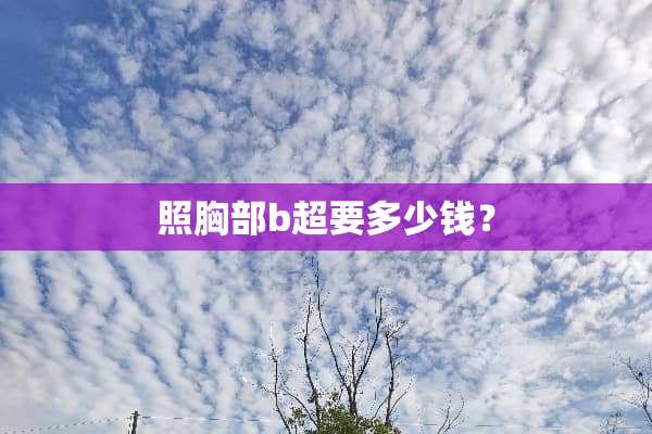 照**b超要多少钱？