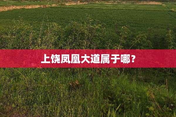 上饶凤凰大道属于哪？