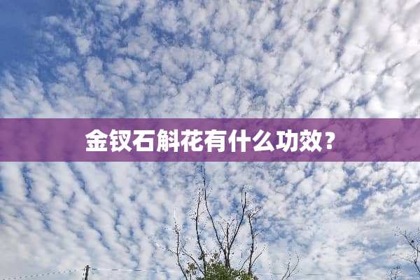 金钗石斛花有什么功效？