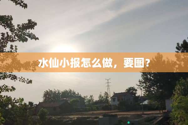 水仙小报怎么做，要图？