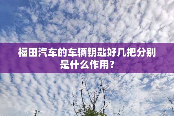 福田汽车的车辆钥匙好几把分别是什么作用？