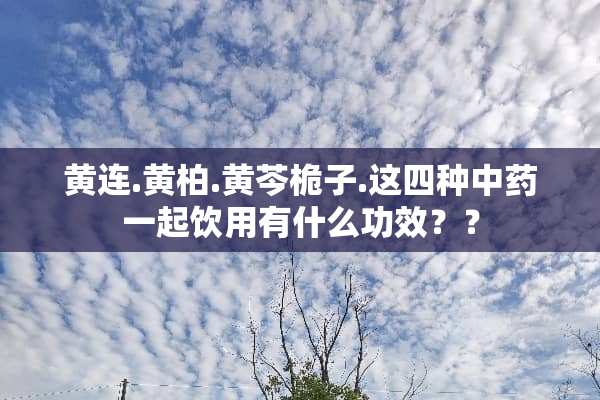 黄连.黄柏.黄芩桅子.这四种中药一起饮用有什么功效？？