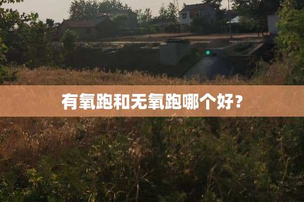有氧跑和无氧跑哪个好？