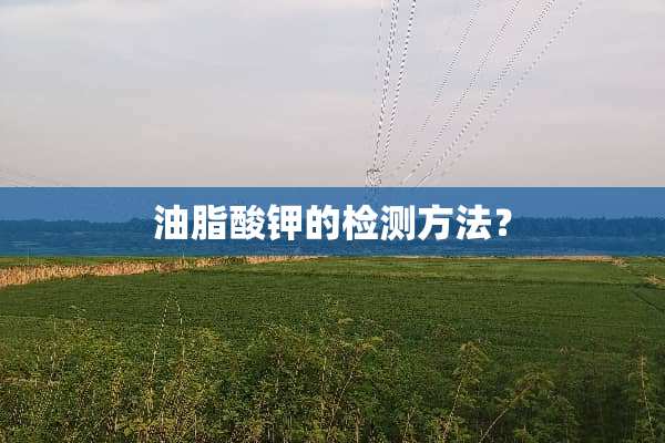 油脂酸钾的检测方法？