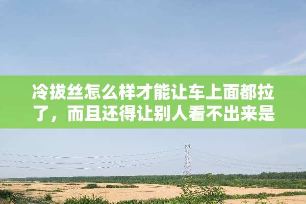 冷拔丝怎么样才能让车上面都拉了，而且还得让别人看不出来是故意弄的？