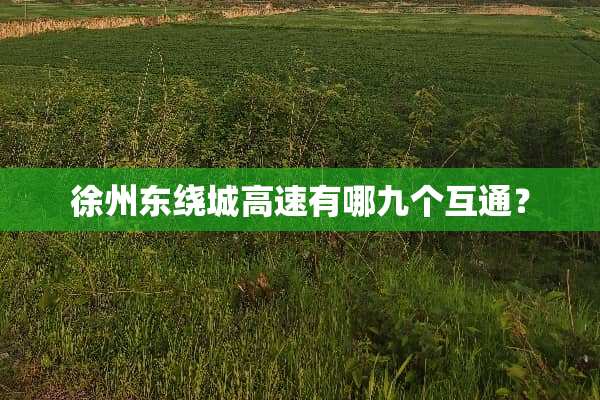 徐州东绕城高速有哪九个互通？