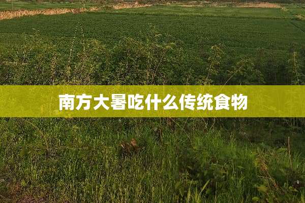 南方大暑吃什么传统食物