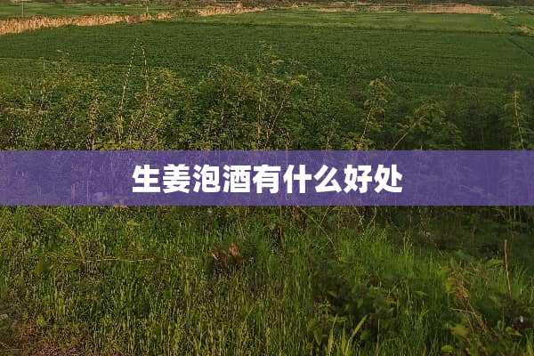 生姜泡酒有什么好处