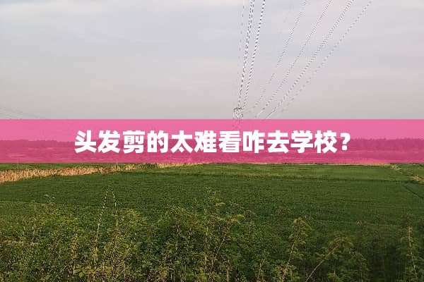 头发剪的太难看咋去学校？