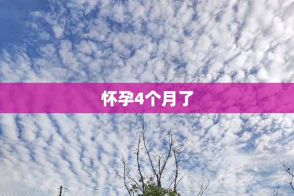 怀孕4个月了