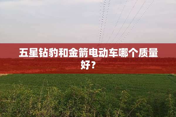 五星钻豹和金箭电动车哪个质量好？