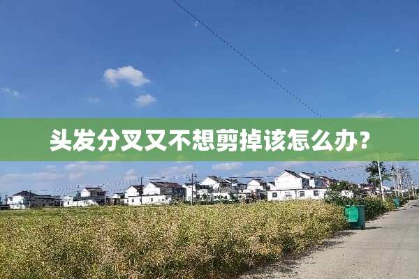头发分叉又不想剪掉该怎么办？